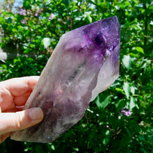 Load image into Gallery viewer, 8in XL Raw Amethyst Dragon&#39;s Tooth Point, Phantom Amethyst, Brazil
