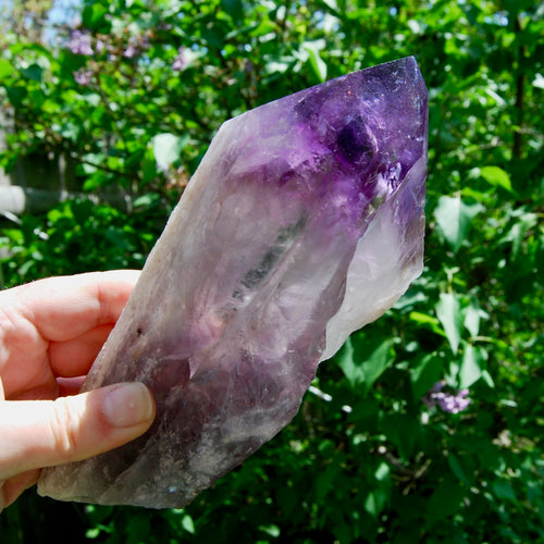 8in XL Raw Amethyst Dragon's Tooth Point, Phantom Amethyst, Brazil