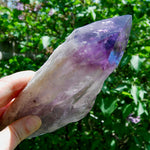 8in XL Raw Amethyst Dragon's Tooth Point, Phantom Amethyst, Brazil