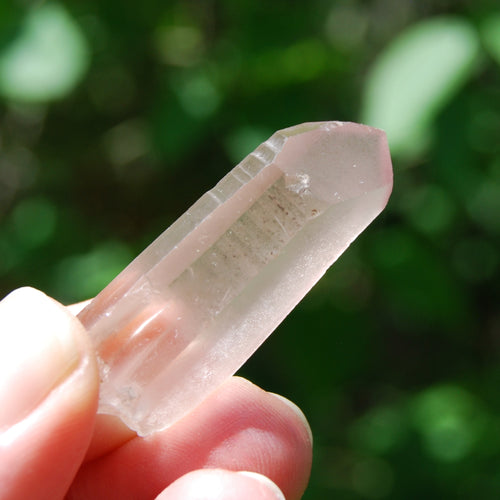 Rare Pink Lithium Lemurian Quartz Crystal Starbrary, Brazil