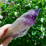 8in XL Raw Amethyst Dragon's Tooth Point, Phantom Amethyst, Brazil