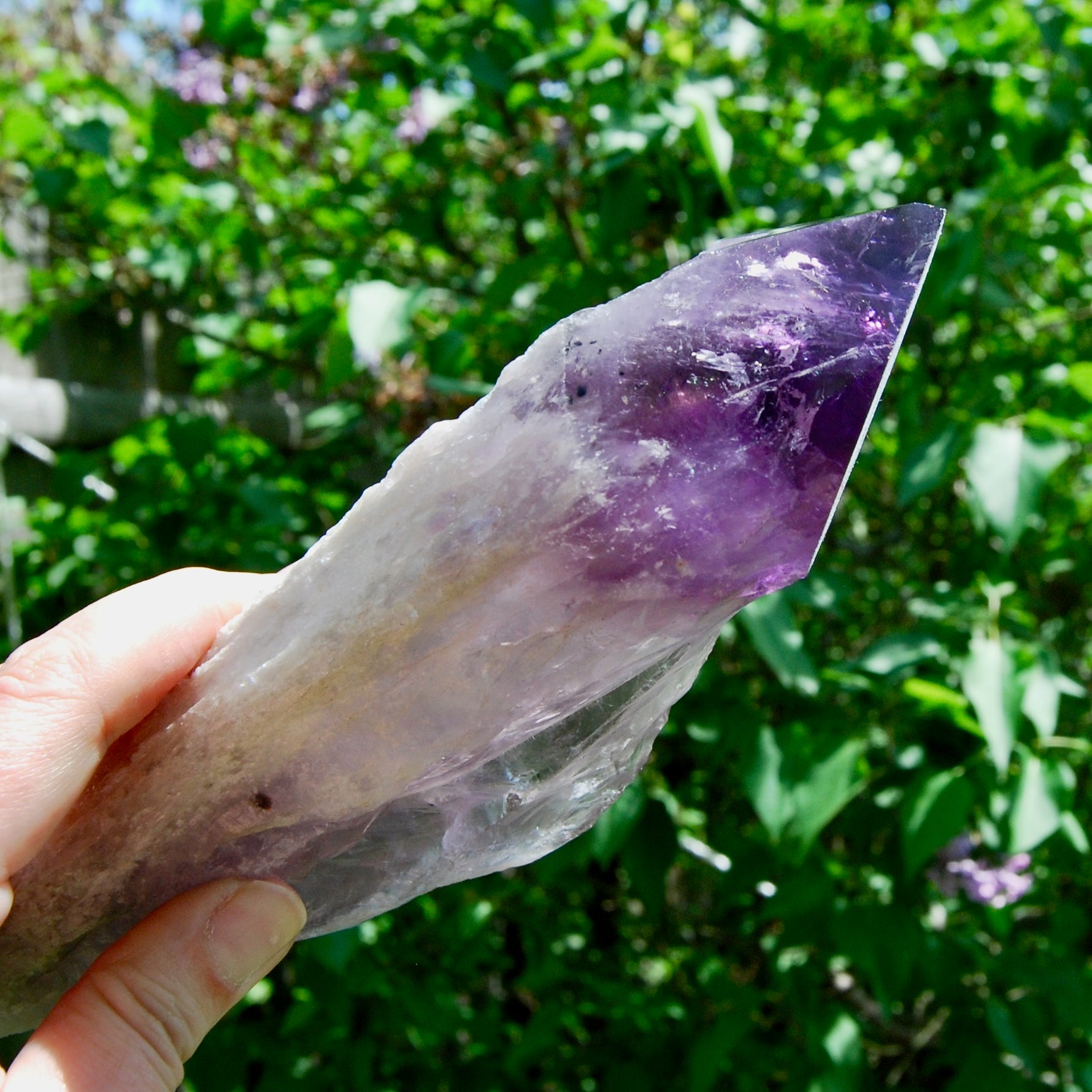 8in XL Raw Amethyst Dragon's Tooth Point, Phantom Amethyst, Brazil