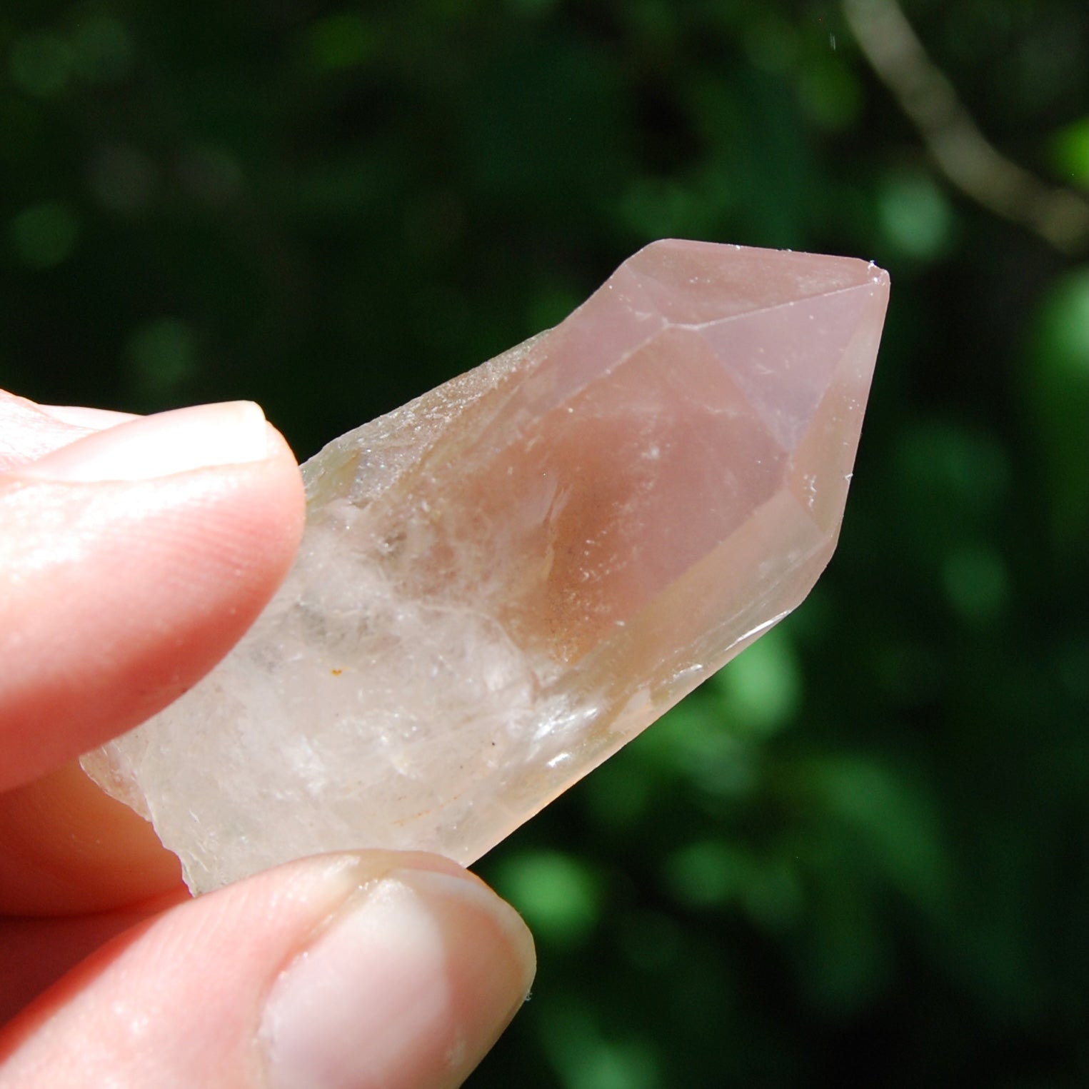 Isis Face Pink Lithium Lemurian Quartz Crystal Starbrary