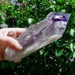 8in XL Raw Amethyst Dragon's Tooth Point, Phantom Amethyst, Brazil
