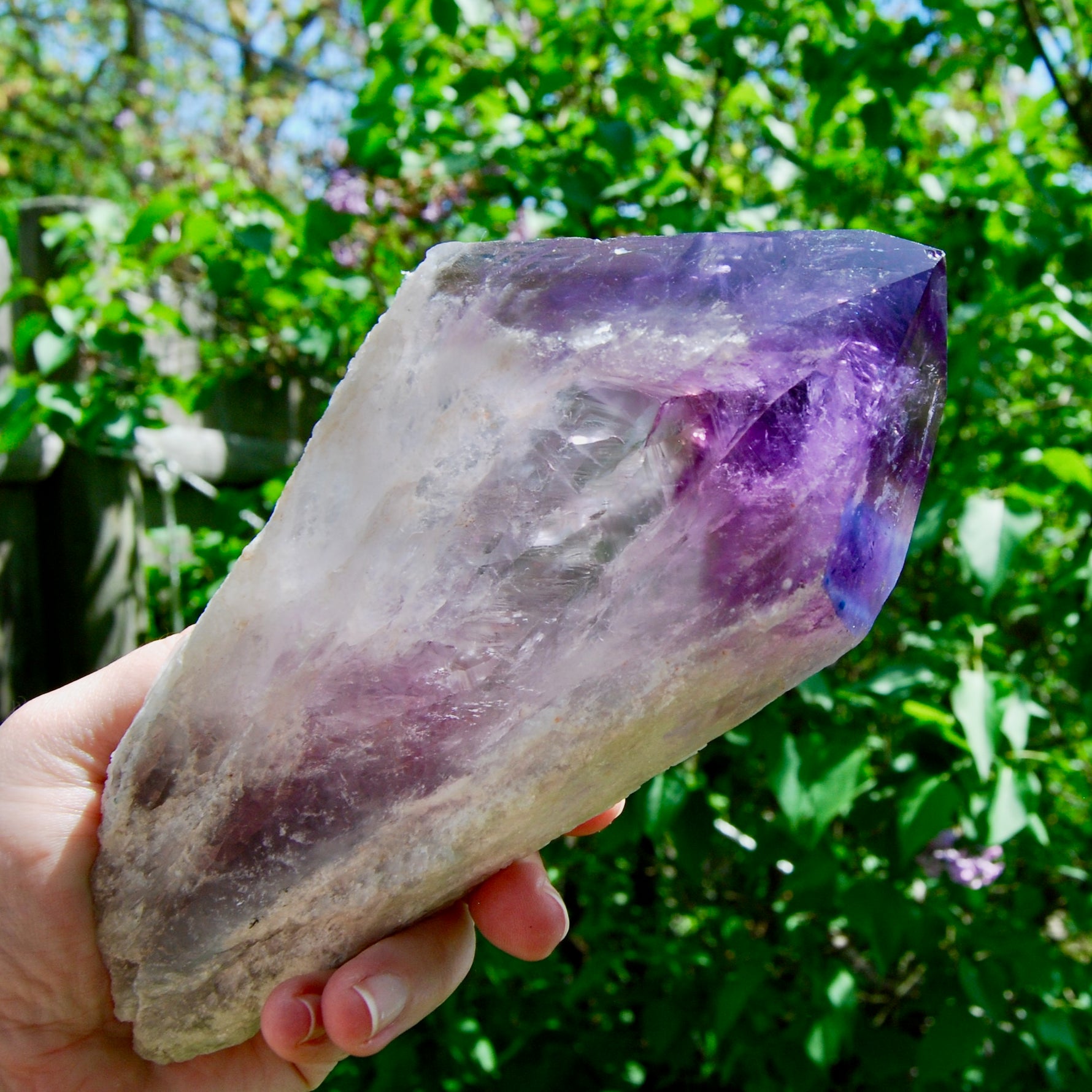 8in XL Raw Amethyst Dragon's Tooth Point, Phantom Amethyst, Brazil