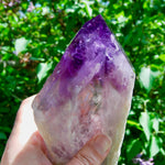 8in XL Raw Amethyst Dragon's Tooth Point, Phantom Amethyst, Brazil