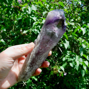 Raw Amethyst Dragon's Tooth Point, Brazil