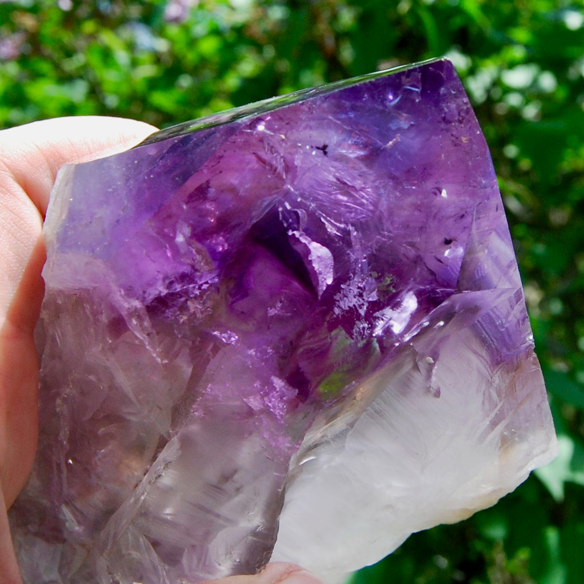 8in XL Raw Amethyst Dragon's Tooth Point, Phantom Amethyst, Brazil
