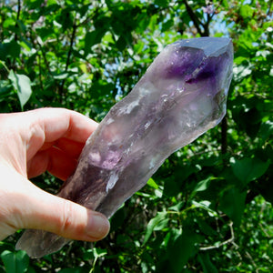 8in XL Raw Amethyst Dragon's Tooth Point, Phantom Amethyst, Brazil