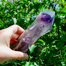 Load image into Gallery viewer, 8in XL Raw Amethyst Dragon&#39;s Tooth Point, Phantom Amethyst, Brazil
