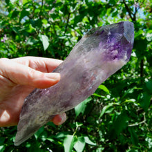 Load image into Gallery viewer, 8in XL Raw Amethyst Dragon&#39;s Tooth Point, Phantom Amethyst, Brazil
