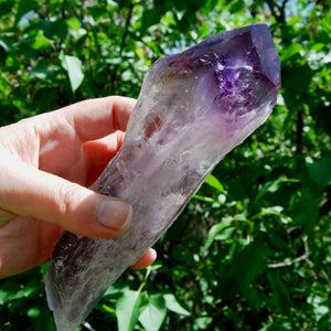 8in XL Raw Amethyst Dragon's Tooth Point, Phantom Amethyst, Brazil