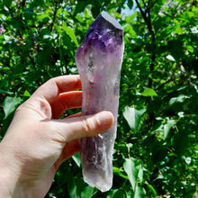 Load image into Gallery viewer, 8in XL Raw Amethyst Dragon&#39;s Tooth Point, Phantom Amethyst, Brazil
