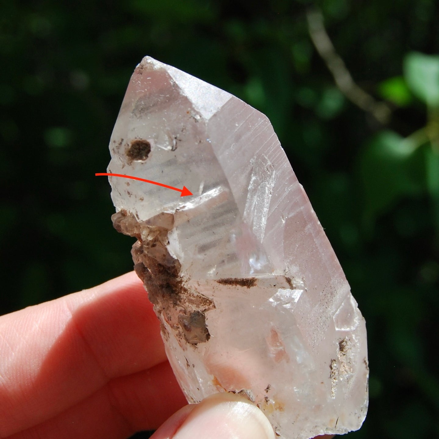 Inner Child Manifestation Pink Lithium Lemurian Quartz Crystal Starbrary, Brazil 