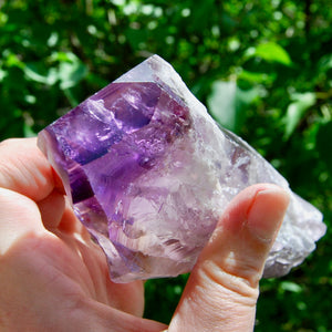 8in XL Raw Amethyst Dragon's Tooth Point, Phantom Amethyst, Brazil