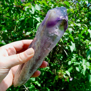 Raw Amethyst Dragon's Tooth Point, Brazil