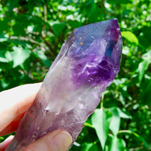 Load image into Gallery viewer, 8in XL Raw Amethyst Dragon&#39;s Tooth Point, Phantom Amethyst, Brazil
