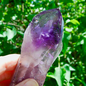 8in XL Raw Amethyst Dragon's Tooth Point, Phantom Amethyst, Brazil