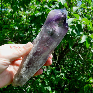 Raw Amethyst Dragon's Tooth Point, Brazil