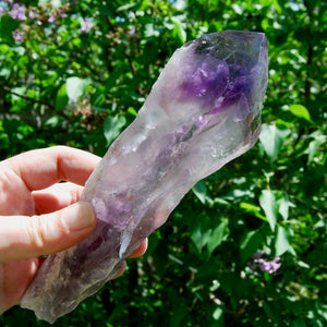 Dragon Tooth Amethyst Point, Phantom Amethyst, Brazil