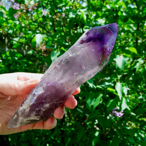 Dragon Tooth Amethyst Point, Phantom Amethyst, Brazil