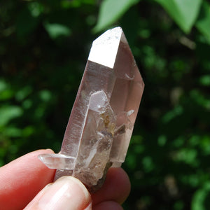 Tantric Twin Devic Temple Bridge Pink Lithium Lemurian Quartz Crystal Starbrary, Brazil