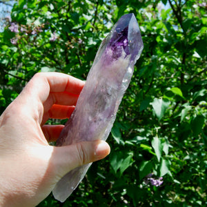 Dragon Tooth Amethyst Point, Phantom Amethyst, Brazil