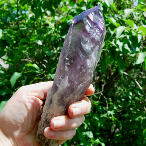 Raw Amethyst Dragon's Tooth Point, Brazil