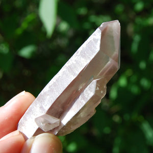 Tantric Twin Devic Temple Bridge Pink Lithium Lemurian Quartz Crystal Starbrary, Brazil