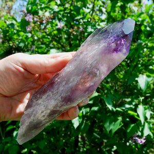 Dragon Tooth Amethyst Point, Phantom Amethyst, Brazil