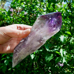 Dragon Tooth Amethyst Point, Phantom Amethyst, Brazil