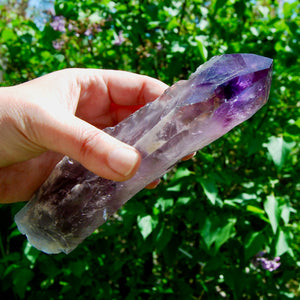 Dragon Tooth Amethyst Point, Phantom Amethyst, Brazil