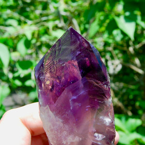 Dragon Tooth Amethyst Point, Phantom Amethyst, Brazil