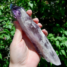 Load image into Gallery viewer, Dragon Tooth Amethyst Point, Phantom Amethyst, Brazil
