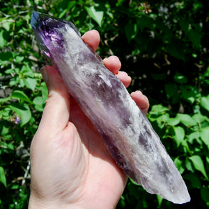 Dragon Tooth Amethyst Point, Phantom Amethyst, Brazil