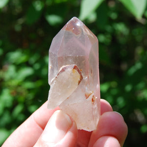 Tantric Twin Soulamte Pink Lithium Lemurian Quartz Crystal Starbrary, Brazil