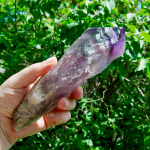 Raw Amethyst Dragon's Tooth Point, Brazil