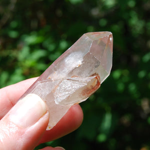 Tantric Twin Soulamte Pink Lithium Lemurian Quartz Crystal Starbrary, Brazil