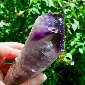 Raw Amethyst Dragon's Tooth Point, Brazil