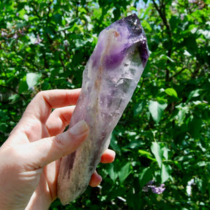 Raw Amethyst Dragon's Tooth Point, Brazil