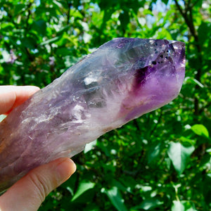 Raw Amethyst Dragon's Tooth Point, Brazil