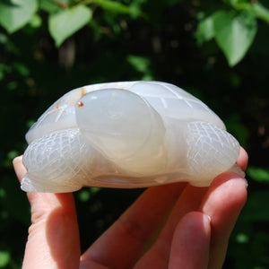 Large Agate Crystal Turtle