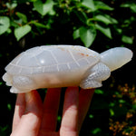 Large Agate Crystal Turtle
