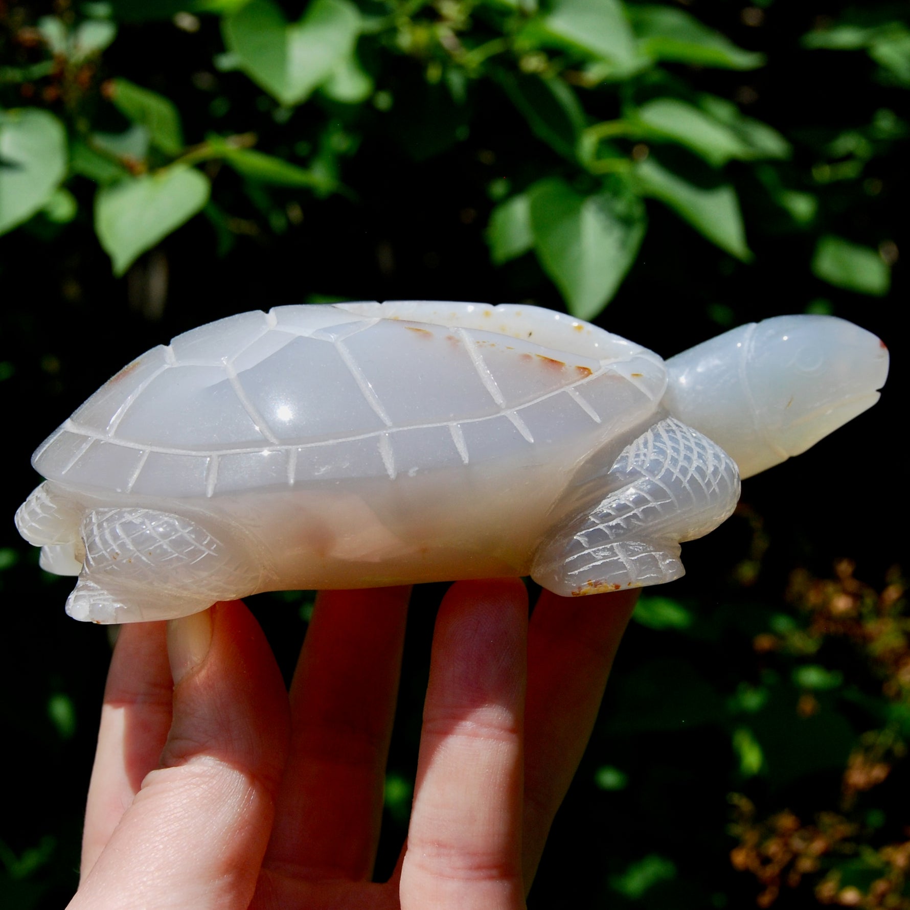 Large Agate Crystal Turtle