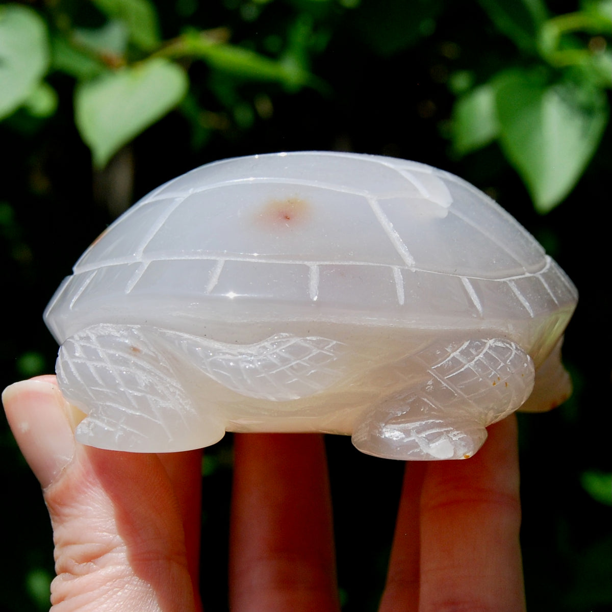 Large Agate Crystal Turtle