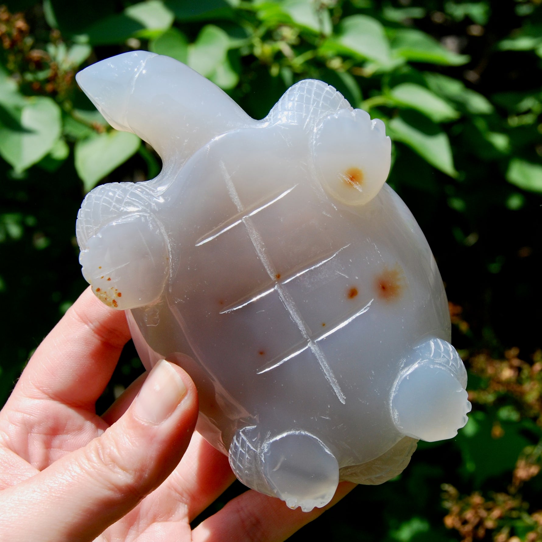 Large Agate Crystal Turtle
