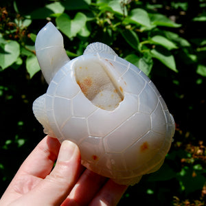 Large Agate Crystal Turtle