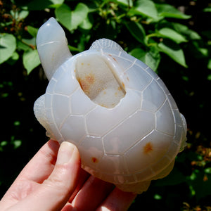 Large Agate Crystal Turtle