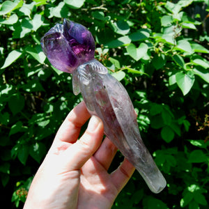 Dragon Tooth Amethyst Hand Carved Crystal Rose, Phantom Amethyst, Brazil