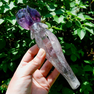 Dragon Tooth Amethyst Hand Carved Crystal Rose, Phantom Amethyst, Brazil